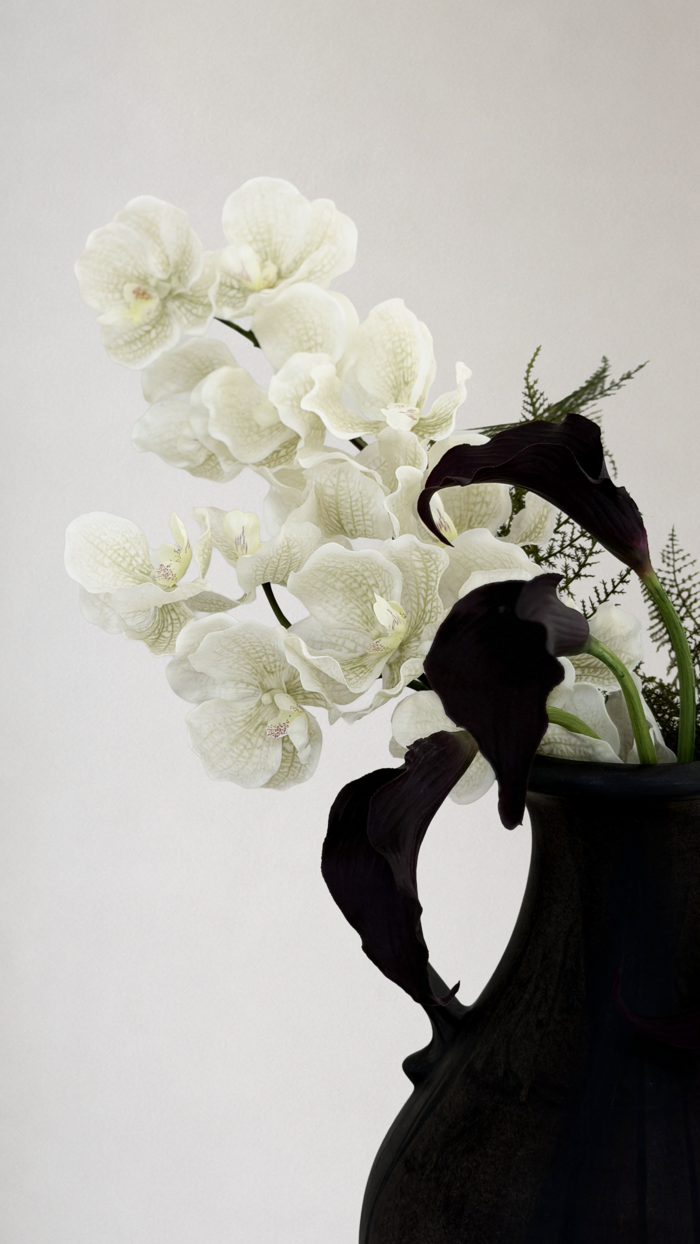 NOIR ORCHID