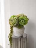 MOSS HORTENSIA
